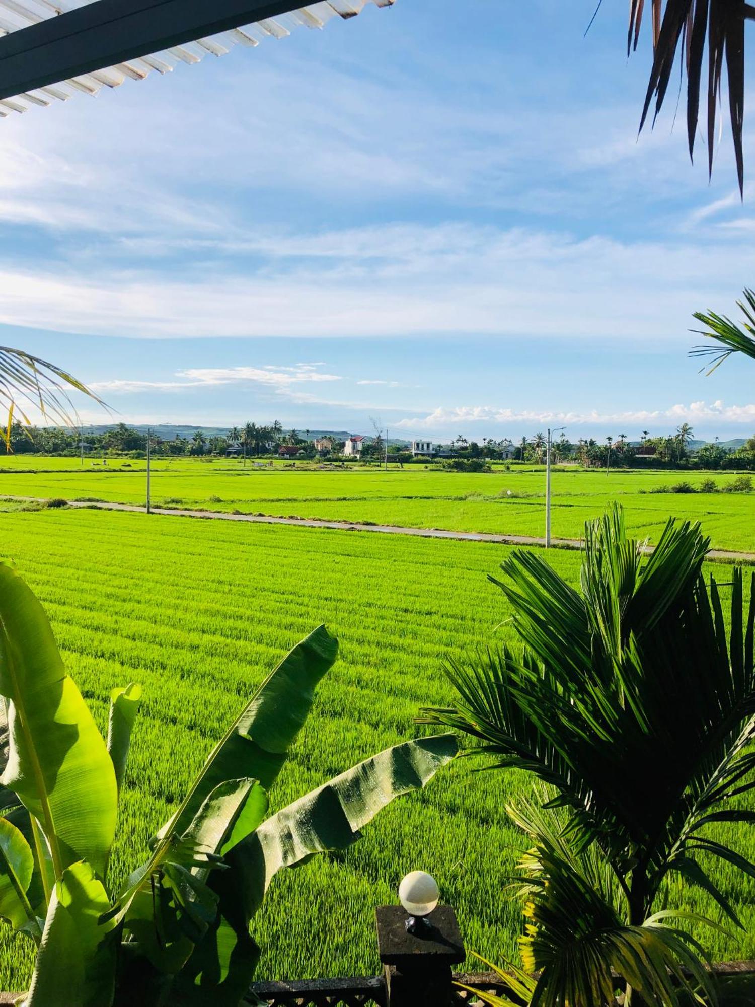 Countryside Homestay Quảng Ngãi Eksteriør billede